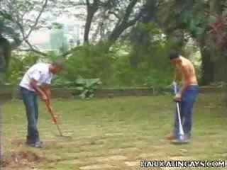 Divinity homo latinos stripping